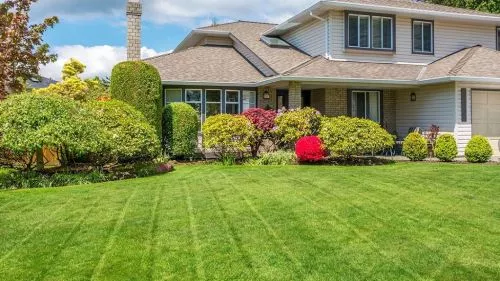 This company is outstanding. The team working my yard was efficient, meticulous professional on time and on budget