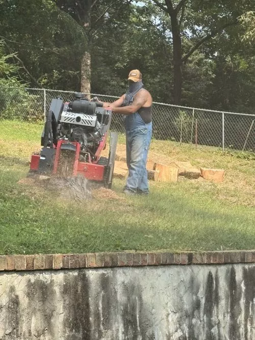 I would highly recommend this crew. They took down some trees for me and did a great job and even did the cleanup