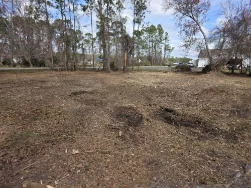 Shaws Forestry Mowing and Mulching, LLc, is a quality company and they do exactly what they say they will do