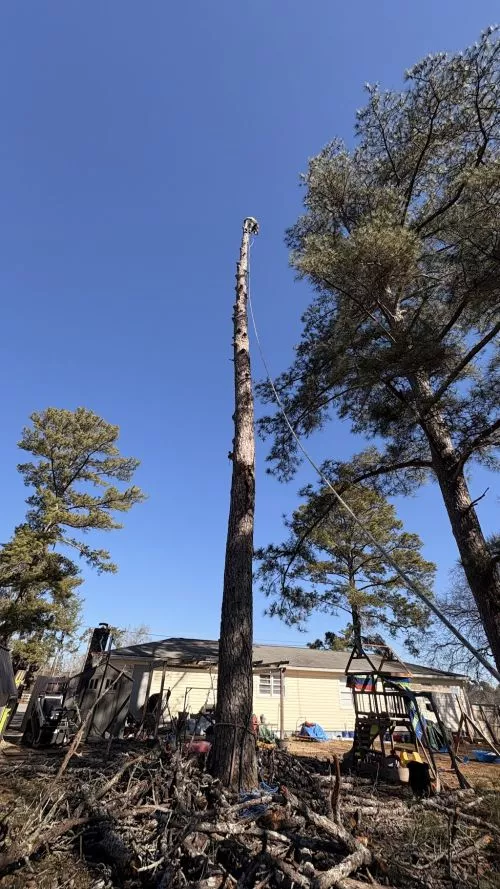 Chris and his crew came out this morning and removed several problematic tree branches from my property