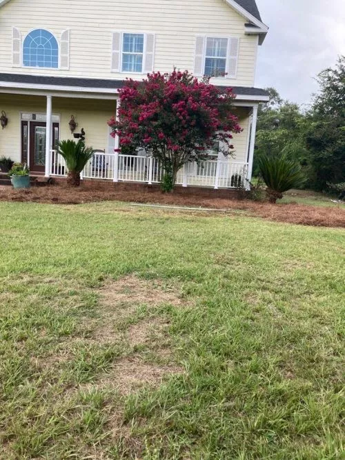 He is a wonderful person. He do great work I had him for my lawn care service for four years and I’ve been very very proud