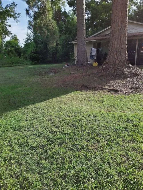 My yard was a mess. Him and his crew knocked it down like it was nothing. They were on time and got the job done