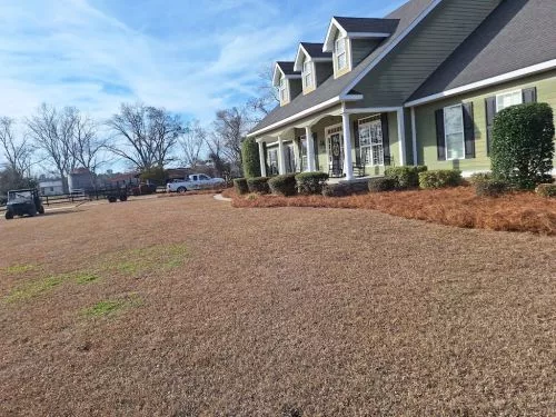 Use their services for over 5 yrs, never missed an appointment. Asvaldo is meticulous with the yard, never leaves any