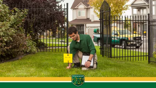 My lawn was dying from over cutting by a previous lawn company. I have had Weed Man since March 2023 and it is now August