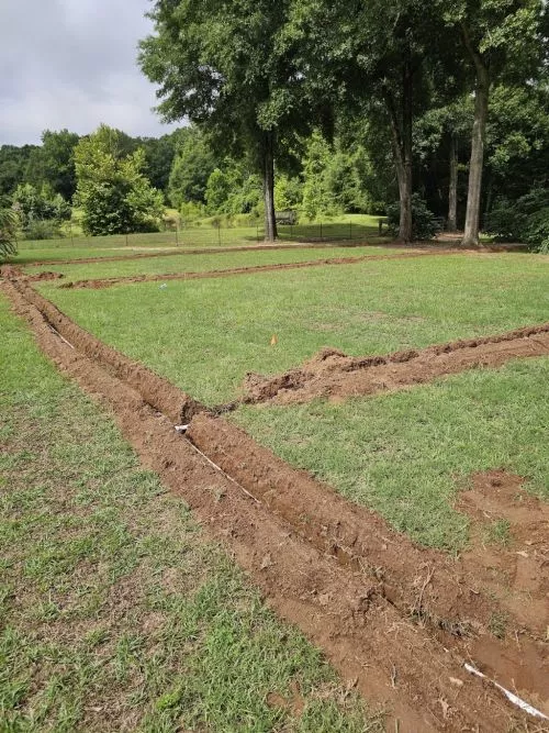 Thomas did a fantastic job on our bermuda sod and sprinkler system. It makes a huge difference in our yard