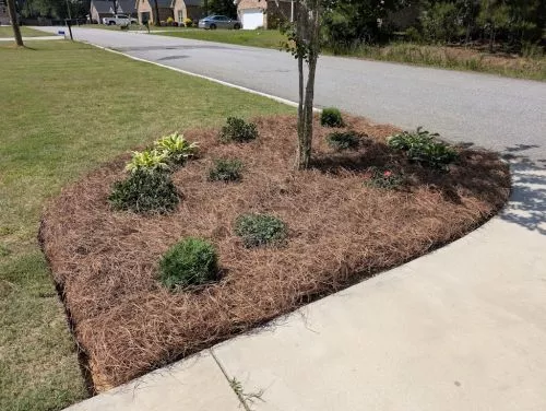 I needed a little focal point next to my driveway to class the place up. Since I needed this I contacted Evans" Turf