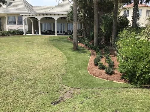 Carlos and his crew have provided a positive impact in our community and at our own home