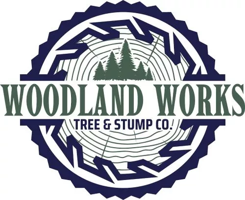 Incredible service and price! My parents had a couple dangerous dead trees removed by Woodland Works