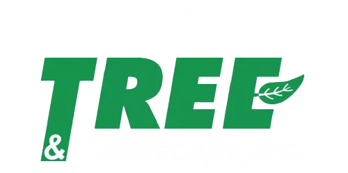 ⭐⭐⭐⭐⭐ I cannot recommend this tree service enough! From start to finish, they were professional, reliable, and incredibly