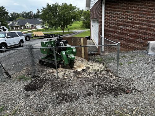  alt='Rob remove two trees for me yesterday. One of which was very big and in close proximity to my house'