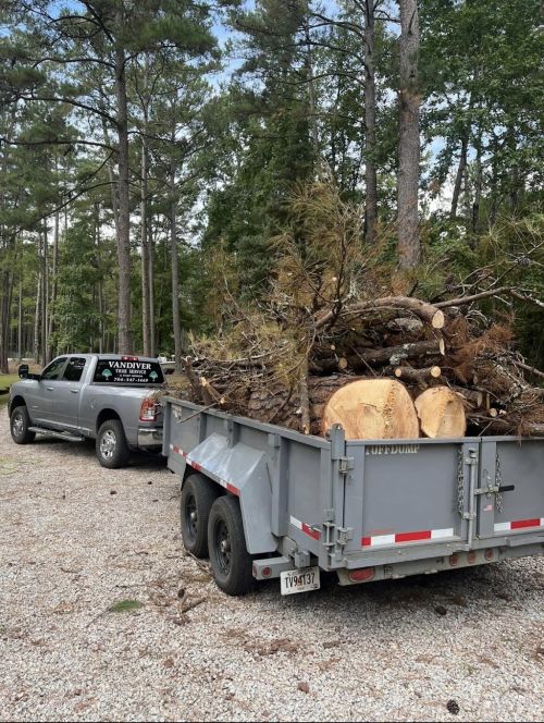 alt='Would definitely recommend this tree service. I had a few trees took down a couple months ago'