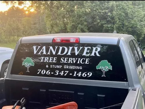 Would definitely recommend this tree service. I had a few trees took down a couple months ago