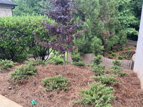  alt='We are absolutely thrilled with our backyard transformation! The team did an incredible job managing a complex project that'