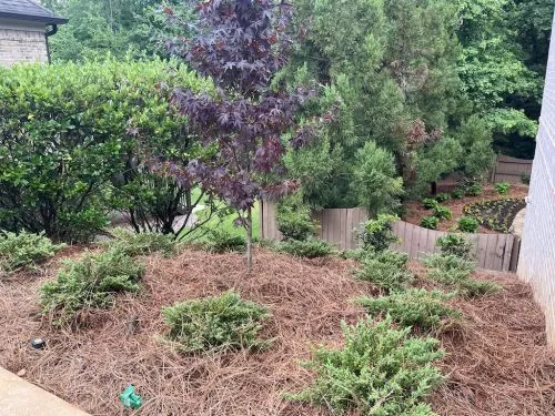 Outside Landscape Group did our entire yard on a newly built house and the results are incredible