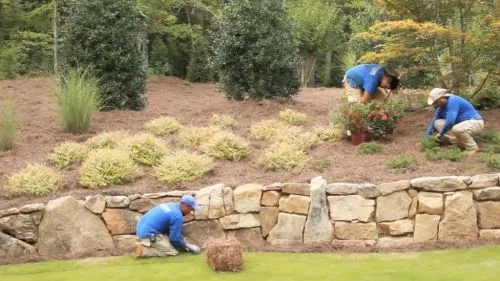 Our backyard landscape project under Adam"s management started and ended on time, in budget, and with no issues