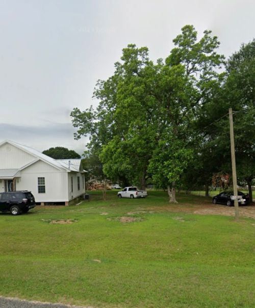  alt='Chad and his crew are very professional and quick! They removed two palm trees and you can