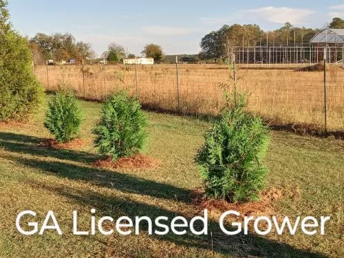 Great communicator! Delivered 6 trees to my home in Evans, GA! Can’t wait to have them planted and watch them grow!