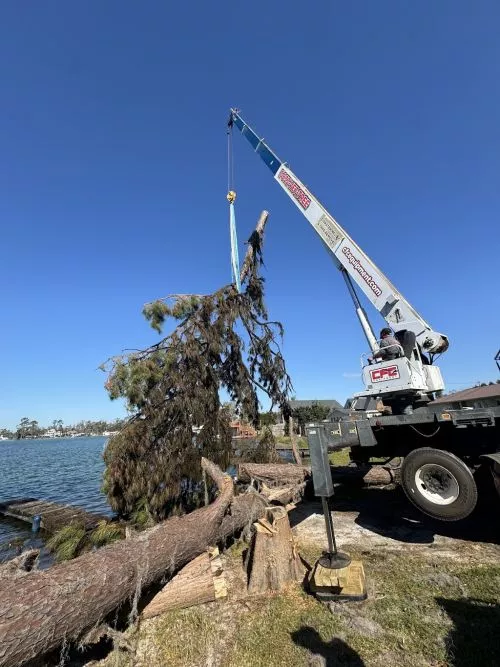 Highly recommend this company for tree removal. The entire crew was respectful, professional, and easy to work with
