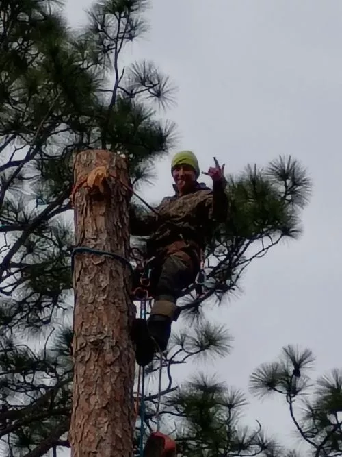 Came out done some work for us. Took down a tree, cleaned up and hauled off debree. Very courteous and professional