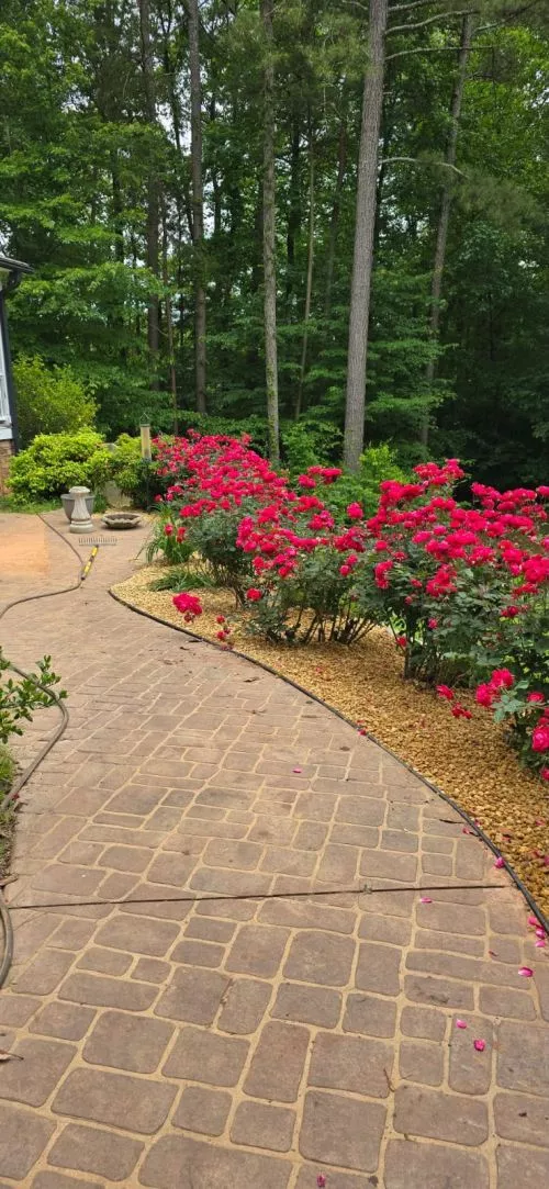 David Flores Lawscaping did an outstanding job! From start to finish, the service was professional, reliable, and the
