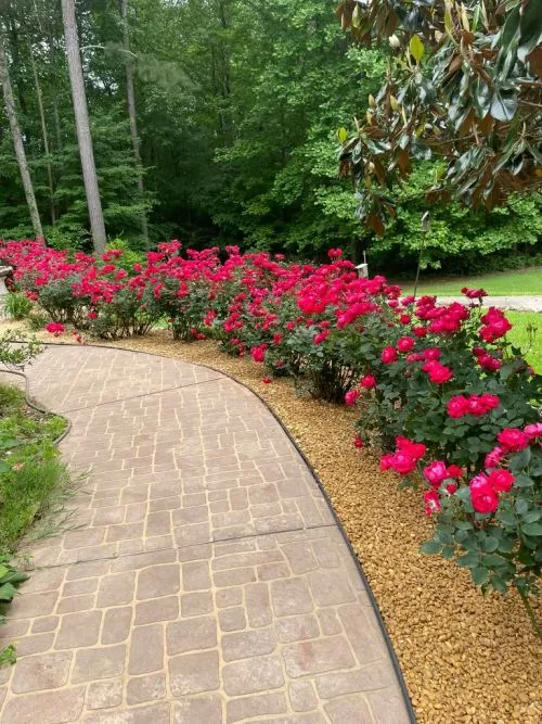 David and his crew did an outstanding job! 5 stars!!!