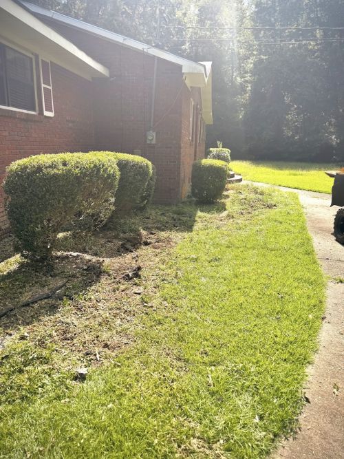  alt='Thank so much for an amazing job you did on the stump grinding!!'