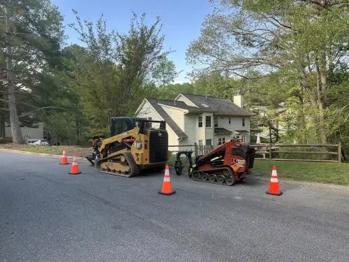 It"s not often that a single word speaks volumes but that is absolutely the case with the owner of Restoration Tree Care,