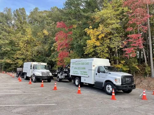 My husband and I have used Restoration Tree Care now several times to trim and remove trees in our yard