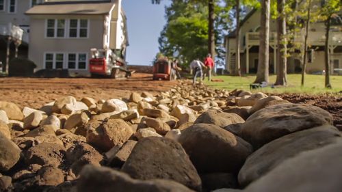  alt='My wife and I lost almost all of our grass on our front and on parts of our side yards because several of the now 20 year'