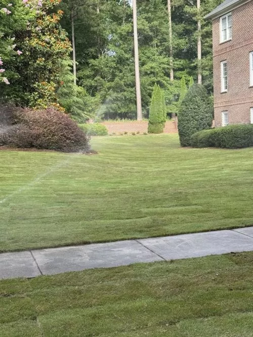 My wife and I lost almost all of our grass on our front and on parts of our side yards because several of the now 20 year