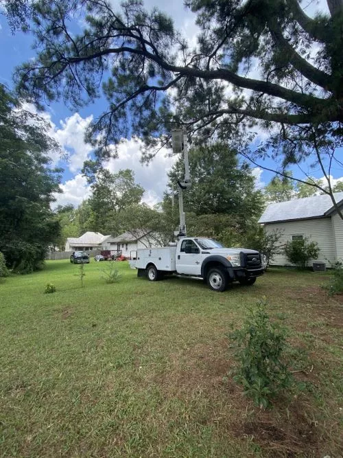 Michael Adam and the Gator Tree Team provide awesome and professional support, and advice, for the tree service on my