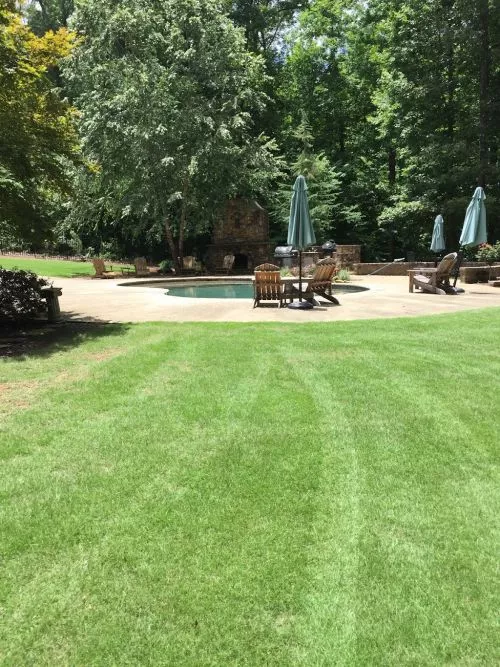 My lawn has been cared for by Turf Magic for the past 10 years! They have been reliable, consistent and informative the