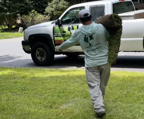 The guys were great. Made my yard look better than I thought it could. They had the vision before I did
