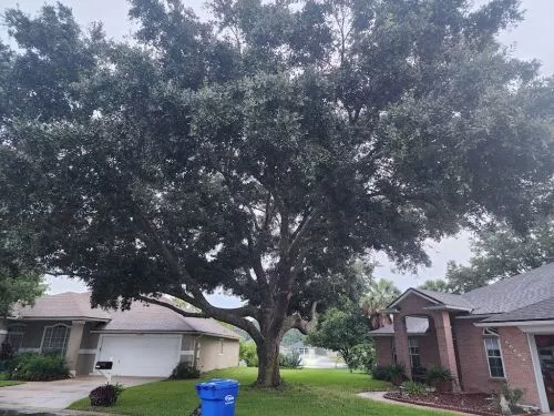 Eathen and his family done a wonderful job removing 3 trees cleaning up the area and hauling off everything they were very