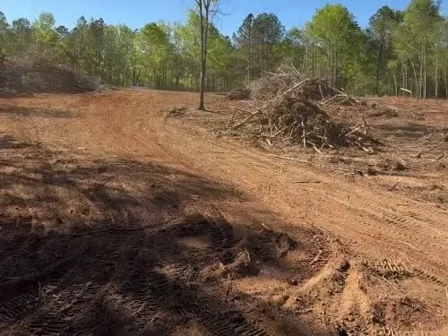 Great job