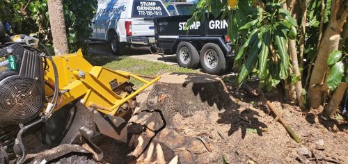  alt='Mama’s stump Grinding did a fantastic job. Brian came and gave me a fair price'