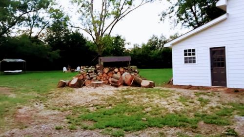  alt='Took down 4 large trees. Trimmed and topped out a Silver Maple that had broken during home construction and branched out'