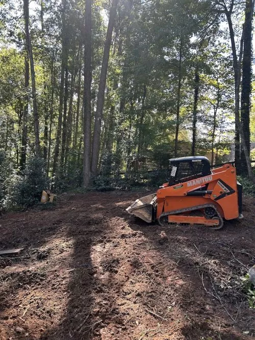 He did some trees in my yard and did a great job