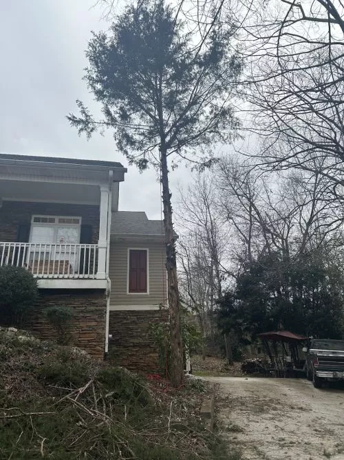 Came to my house and gave a quote was affordable , professional and did a wonderful job!