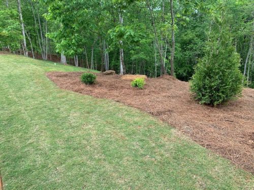  alt='AMAZING transformation done by Jamie! When we mentioned we wanted steps coming down from our driveway, we never envisioned'