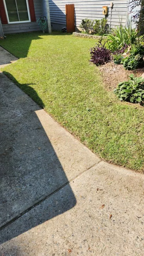 We purchased a newly built home and the sod was poorly laid by another landscaping contractor (not Sanderscape)
