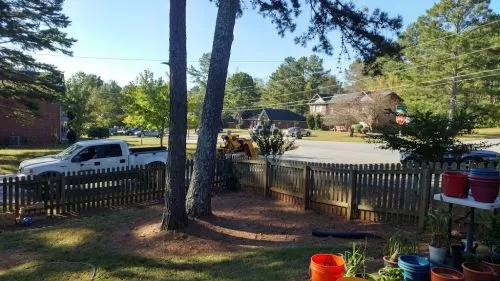 My service request of cutting down 6 trees had been scheduled for about 2 weeks later