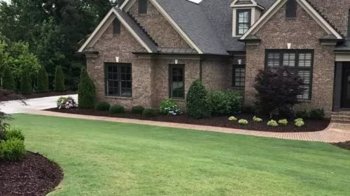Can’t say enough good things about Dyer Landscape. The backyard was a big job it needed graded drainage fix the erosion