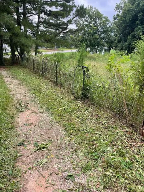 Blake did a really good job cutting my grass and weed eating. He also cut brush and cleaned up limb piles. I recommend him. 