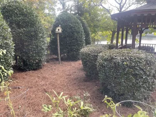 This is the best lawn care service around. He is so fast and helped me with a 10 thousand dollar job since we have lots of