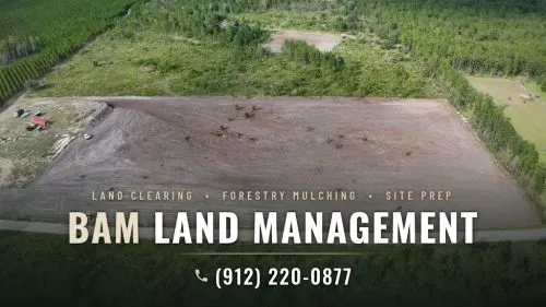 Called BAM Land Management for land clearing on our property in Clyo and couldn"t be happier