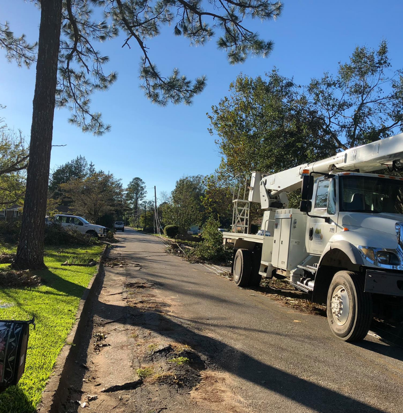 ONE OF MY NEIGHBORS,USED SETH AND HIS CREW TO REMOVE A HUGE TREE LEANING OVER HIS HOUSE