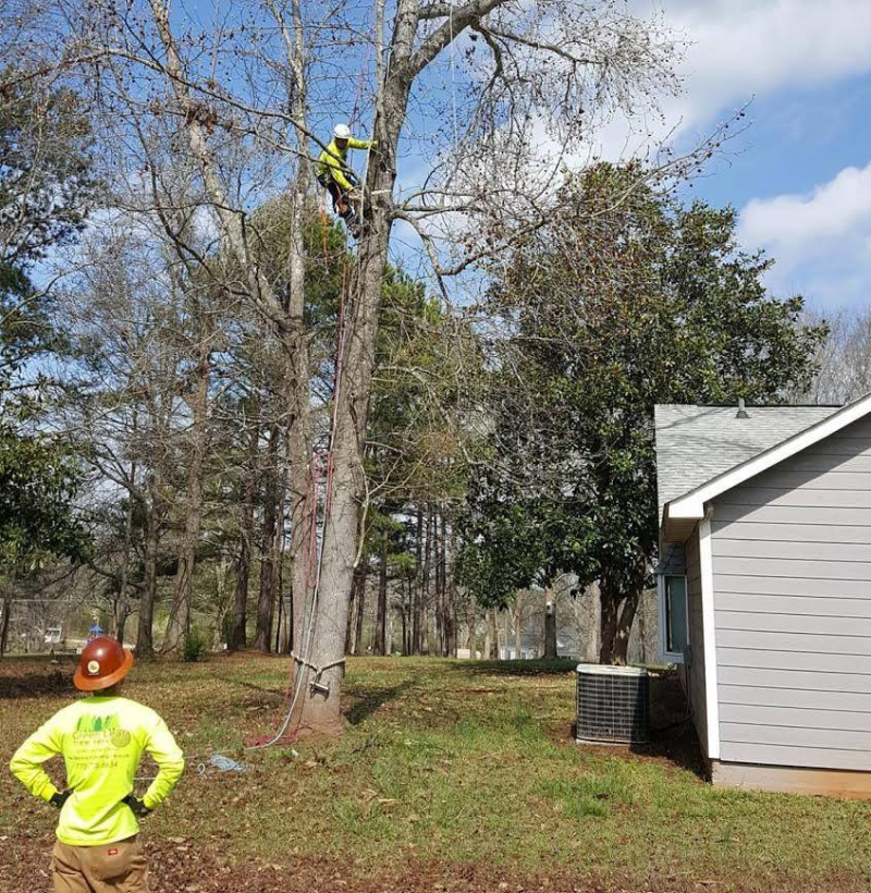SETH IS A HONEST MAN WHO GIVES FAIR PRICES AND QUALITY WORK. LOTS OF EXPERIENCE AND HIS CREWS ARE FRIENDLY HARD WORKING AND