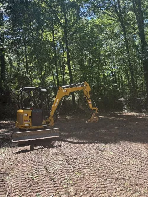 I called Watson Landworks to ask for help clearing an over grown building lot