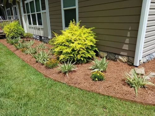 I have been using Mario and his crew for the last couple of months now and they have been doing a great job keeping my yard